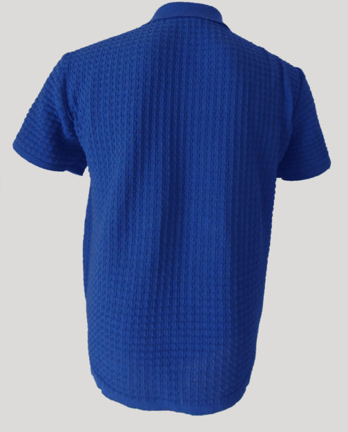 футболка поло синяя (спина)